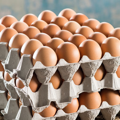 Catering-60-eggs---square